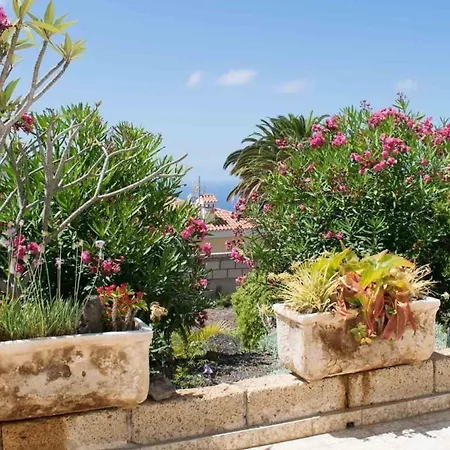 Apartment Mit Botanischem Garten Und Meerblick